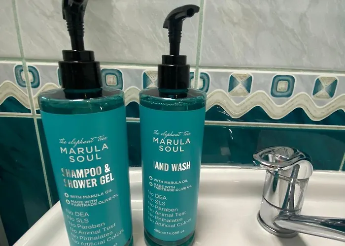 בית הארחה Homies