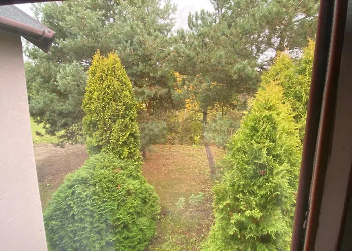 Homies Celiny (Tarnowskie Gory)