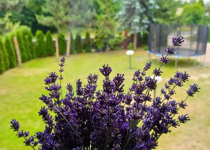 בית הארחה Homies Celiny (Tarnowskie Gory)